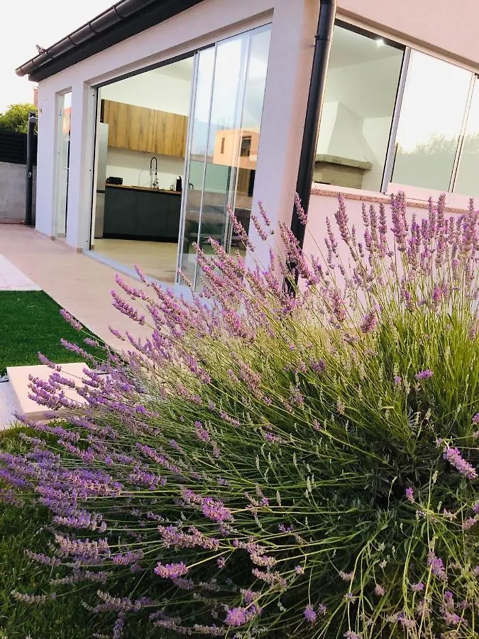 ביבינייה Apartments Angelo